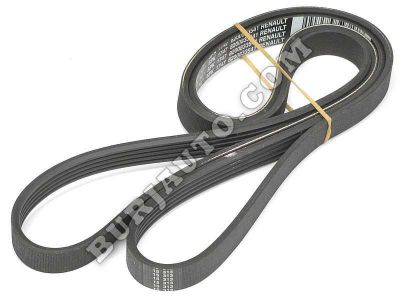 8200833541 RENAULT BELT