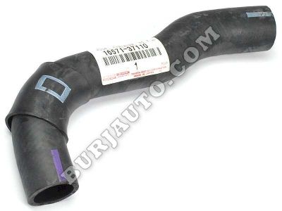 HOSE, RADIATOR TOYOTA 1657137110