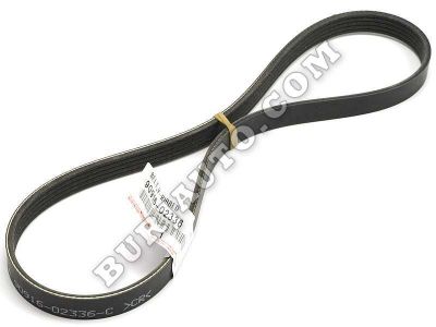 BELT, V-RIBBED Toyota 9091602336