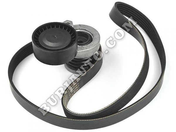 117202495R RENAULT Kit belt tensioner accessory w